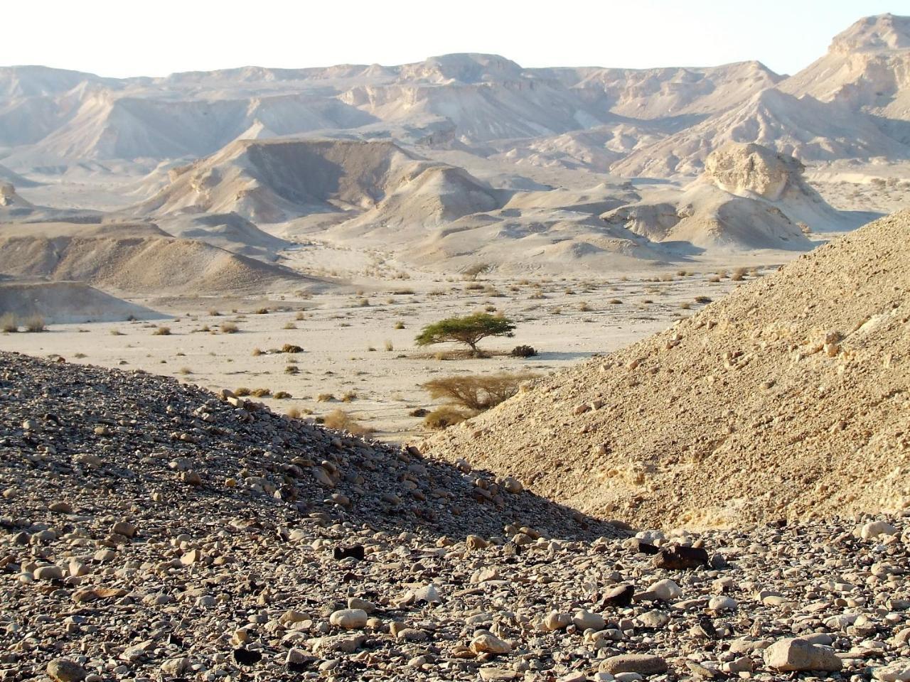 فيلا Zman Arava Tzukim المظهر الخارجي الصورة
